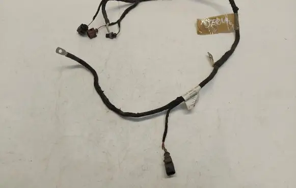 Other wiring loom