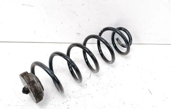 Rear coil spring