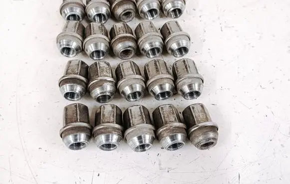 Dodge RAM 1500 DS Nuts/bolts 