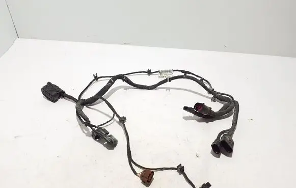 Other wiring loom