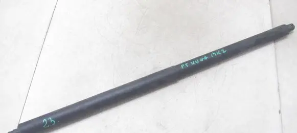 Ford Kuga II Rear window strut damper CJ54-S402A54-AC