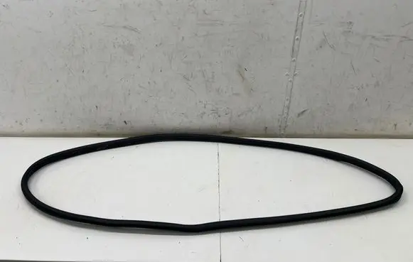 Ford Ecosport Front door rubber seal GN15N20724CB