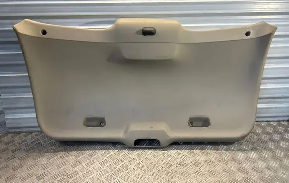 Renault Scenic II - Grand scenic II Tailgate trim 8200084296 MP5499