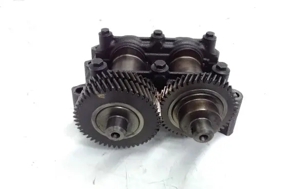 Renault Koleos I Balance shaft 