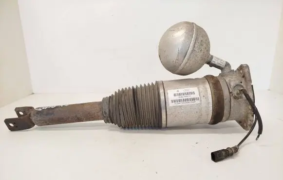 Volkswagen Phaeton Rear shock absorber/damper 3D0616001N