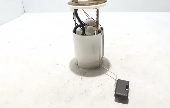 Renault Scenic IV - Grand scenic IV In-tank fuel pump 172026948R