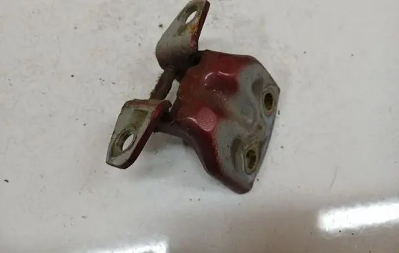 Hyundai Santa Fe Rear door lower hinge 