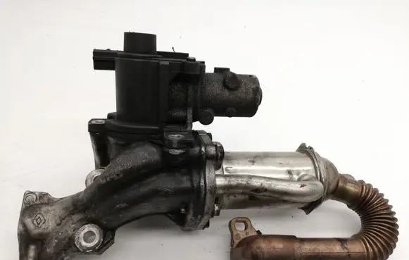 Nissan Juke I F15 EGR valve 70036806
