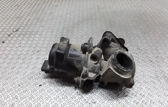 Peugeot 207 EGR valve 21604679
