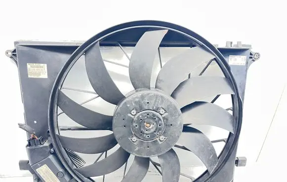 Mercedes-Benz S W220 Electric radiator cooling fan A2205000193