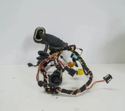 Front door wiring loom