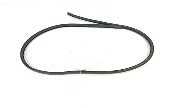 Opel Vivaro Front door rubber seal 