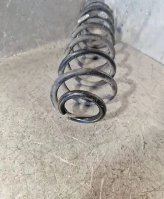 Rear coil spring