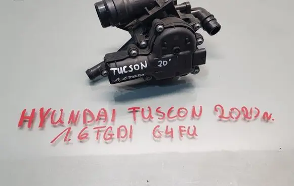 Thermostat/thermostat housing