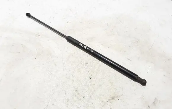 Renault Scenic IV - Grand scenic IV Tailgate strut 904507114R