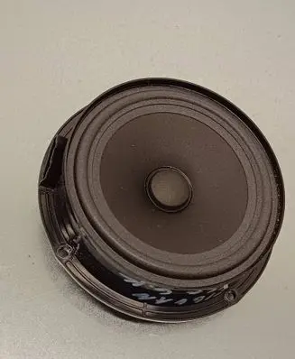 Rear door speaker
