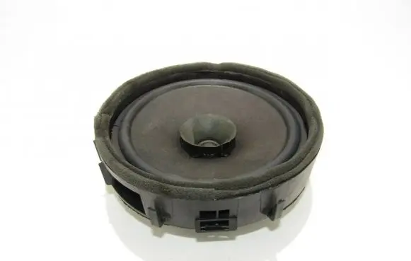 Rear door speaker