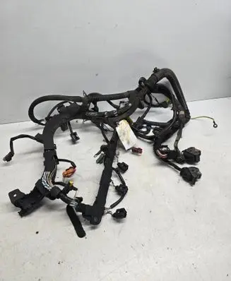 Peugeot 307 Engine installation wiring loom 