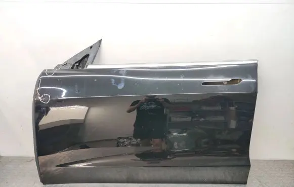 Tesla Model 3 Front door