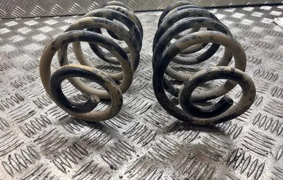 Rear coil spring