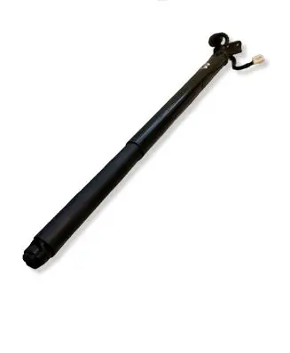 Nissan Ariya Tailgate strut 905605MP0A