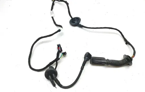Front door wiring loom