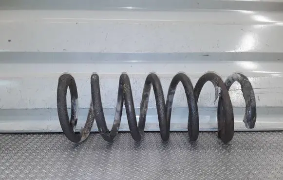 Ford S-MAX Rear coil spring 