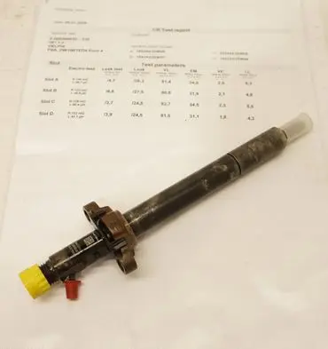 Peugeot 407 Fuel injector EJBR06001D
