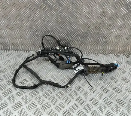 BMW X5 G05 Front door wiring loom 87748391 8714811