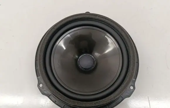 Ford Mustang Mach-E Rear door speaker LJ8T18808NA