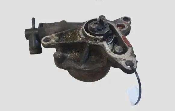 Renault Trafic III (X82) Vacuum pump
