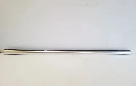 Rear door glass trim molding
