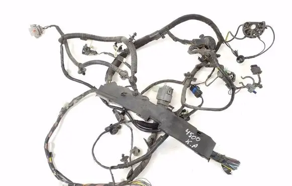 Other wiring loom