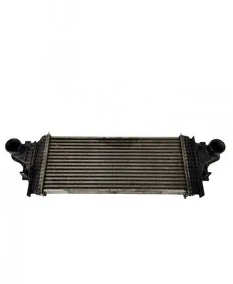 Mercedes-Benz ML W164 Intercooler radiator A2515000000
