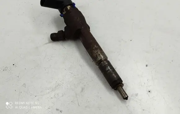 Ford Transit - Tourneo Connect Fuel injector 7T1Q9F593AB 10039