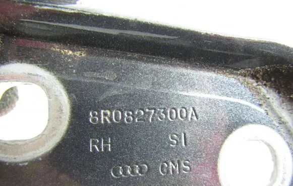 Audi Q5 SQ5 Loading door hinge set 8r0827300a