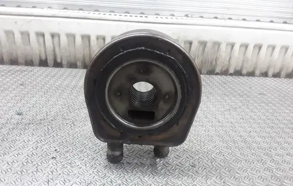Renault Laguna II Oil filter mounting bracket 3743011