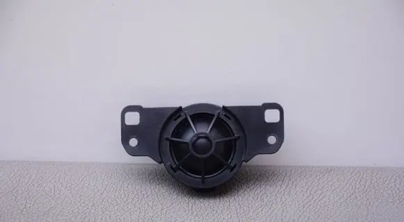Panel speaker