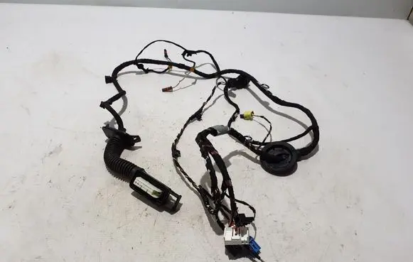 Other wiring loom