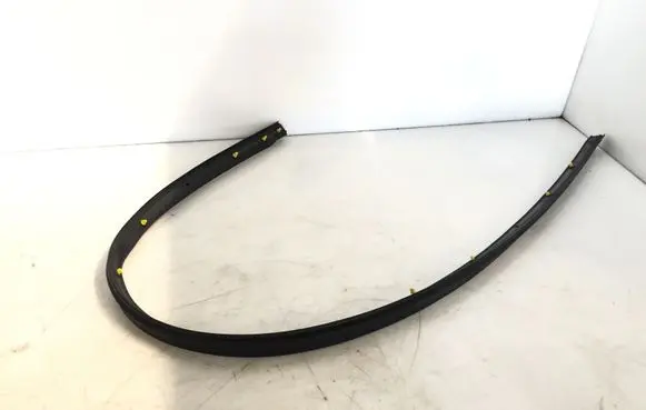 Ford Transit Front door rubber seal BK31V5140001FB