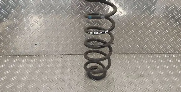 Rear coil spring