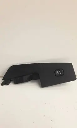 Tailgate opening switch