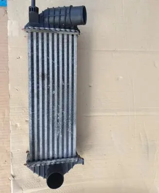 Renault Kangoo II Intercooler radiator 8200427469