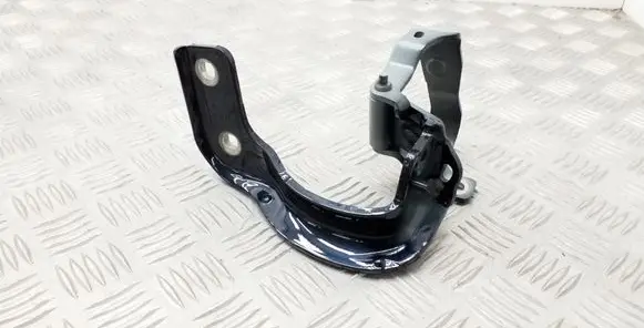 Tailgate/trunk/boot hinge