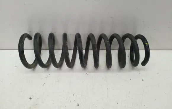 Rear coil spring