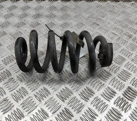 Volkswagen ID.4 Rear coil spring 1EA511103AA