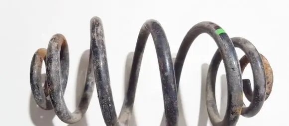 Volkswagen PASSAT B5.5 Rear coil spring