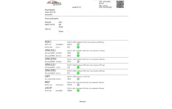 Toyota Yaris Verso Fuel injector 0445110154