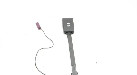 Ford Ecosport Front seatbelt buckle CN15B61209EFW