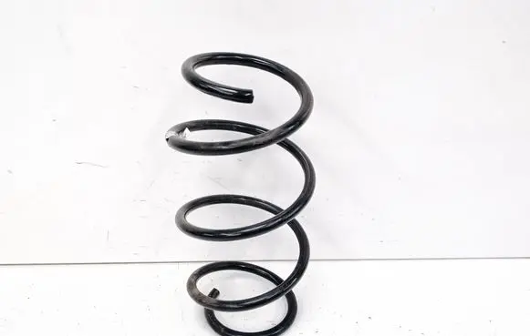 Rear coil spring